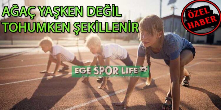AĞAÇ YAŞKEN DEĞİL, TOHUMKEN ŞEKİLLENİR