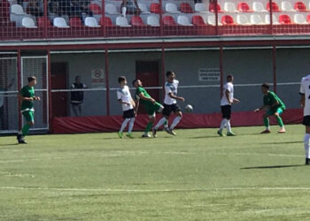 İZMİR ORMANGAZİ: 3- BORNOVA 1881: 4