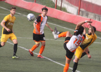 Ceyhan Altınyıldız: 1- Aliağa FK: 2