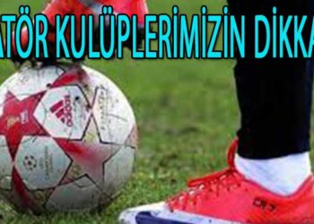 AMATÖR KULÜPLERE YAPILACAK YARDIM İLE İLGİLİ DUYURU