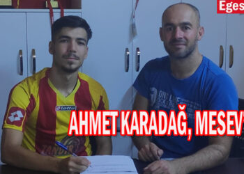 AHMET KARADAĞ, MESEV’DE