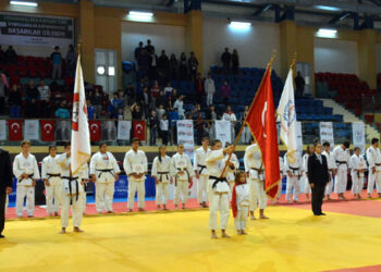 Judoda Türkiye Derecesi