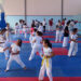 FOÇA TAEKWONDO 12 AY ÇALIŞIYOR