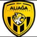 ALİAĞASPOR FK, BAL LİGİ EN KISA ZAMANDA BAŞLAMALI