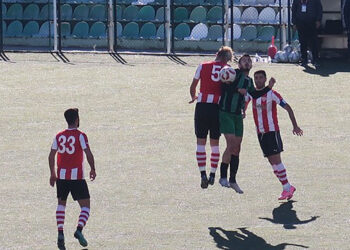 Bornova 1881: 2- Foça Belediyespor: 2